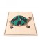 Montessori Premium : Puzzle de la tortue