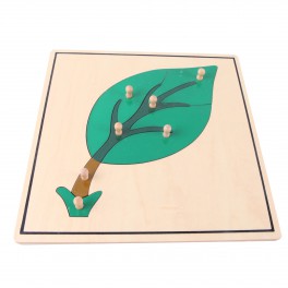 Montessori Premium : Puzzle de la feuille Montessori Premium : Puzzle de la feuille