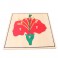 Montessori Premium : Puzzle de fleur