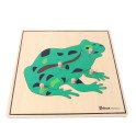 Montessori Premium : Puzzle de la grenouille