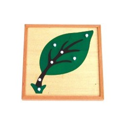 Puzzles de feuille